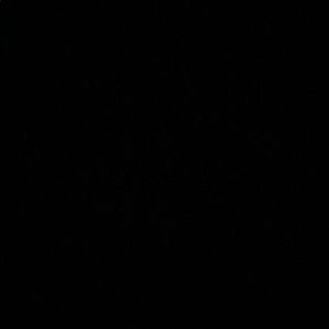 Meet your Posher, Caren